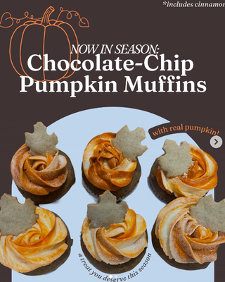 Chocolate Chip Pumpkin Muffins - FALL in love with my new seasonal flavor! DM to order or pre-order my mouth-watering chocolate-chip pumpkin cupcakes with a hint of cinnamon for Thanksgiving and all other fall activities