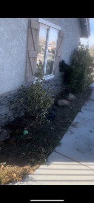 Front yard of 1st Ever project - Brought landscape to bare dirt by removing all vegetation Front yard of 1st Ever project - Brought landscape to bare dirt by removing all vegetation