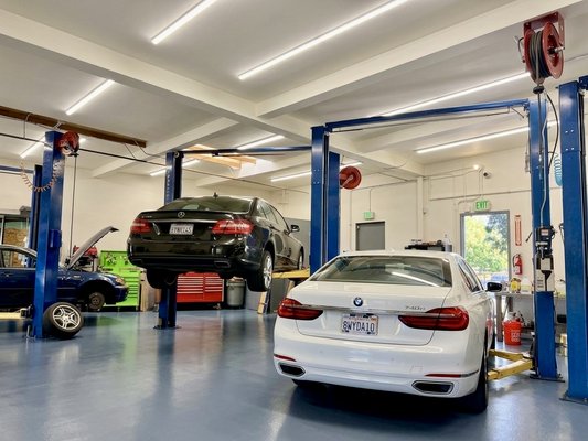 European Automotive Repair and Service - Specialists In European Automotive Repair and Service European Automotive Repair and Service - Specialists In European Automotive Repair and Service