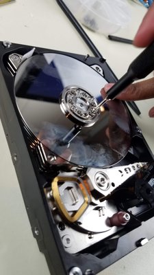 Data Revovery - This customer wanted their personal information extracted from their damaged hard drive. We extracted the files and re-uploaded them onto a different drive. Data Revovery - This customer wanted their personal information extracted from their damaged hard drive. We extracted the files and re-uploaded them onto a different drive.