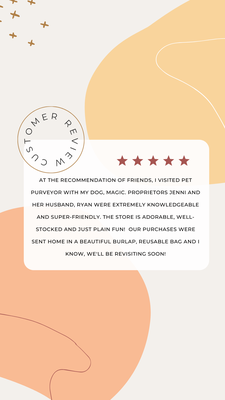 Client Reviews - What our customers are saying Client Reviews - What our customers are saying