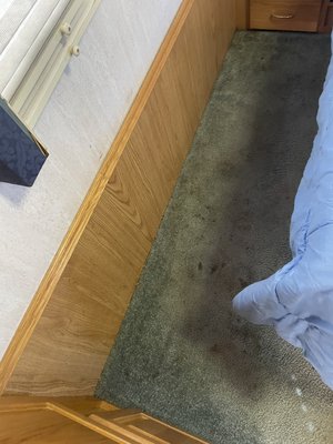 3 rv cleaning upholstery & carpet cleaning - On this day we cleaned 3 different RV motor homes . The upholstery and carpets they came out great !