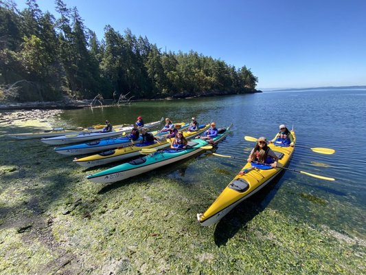 Custom Kayaking Tours (Groups, Clubs, Schools, Family) - Experience a personalized and secure kayaking adventure with our tailored trips, led by our knowledgeable guides. Whether you're traveling with loved ones, colleagues, a school group, or an adventure club, we'll collaborate with you to design a custom tour that perfectly suits your requirements and interests. Decide on your preferred travel companions and the duration of your trip, ranging from a few hours to a week-long journey, and leave the details to us, ensuring an effortless and delightful experience.
