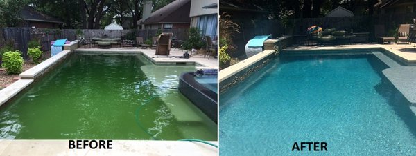 Pool Cleaning - CK Pool maintenance technician team protects your investment and adds value to your pool. Unlike other companies or large chains, we spend 45 minutes to an hour per pool to ensure proper care is given to clients.
Proper dosing, routine equipment checks, and our kind and courteous staff are part of the many reasons to choose CK Pool to provide a safe swimming environment to your family.
Stay in the know and relax stress-free knowing that dedicated professionals will care for the health and safety of your swimming pool. Pool Cleaning - CK Pool maintenance technician team protects your investment and adds value to your pool. Unlike other companies or large chains, we spend 45 minutes to an hour per pool to ensure proper care is given to clients.
Proper dosing, routine equipment checks, and our kind and courteous staff are part of the many reasons to choose CK Pool to provide a safe swimming environment to your family.
Stay in the know and relax stress-free knowing that dedicated professionals will care for the health and safety of your swimming pool.
