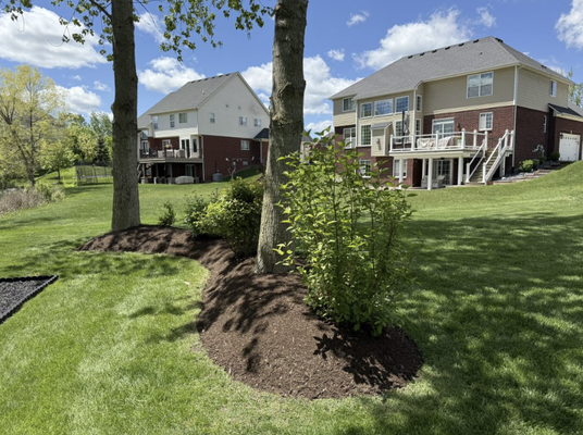 Mulch Installation - Transform Your Outdoor Space with WeDoItTheBest Landscaping!
Looking for unbeatable lawn care in East Point, GA, and the greater Atlanta area? Look no further! At WeDoItTheBest Landscaping, we deliver professional, reliable, and top-quality services to make your yard the envy of the neighborhood.
Whether you need expert mowing, fresh mulch, precise tree pruning and removal, custom planter box installation, crisp edging, paver installation, pressure washing, drainage solutions, or more—we do it all! Our dedicated team brings out the best in your property with attention to detail, creativity, and care.
Let us handle the hard work while you enjoy a beautiful, worry-free outdoor space. Contact us today for your free estimate and discover why we’re Atlanta’s go-to landscaping experts! Mulch Installation - Transform Your Outdoor Space with WeDoItTheBest Landscaping!
Looking for unbeatable lawn care in East Point, GA, and the greater Atlanta area? Look no further! At WeDoItTheBest Landscaping, we deliver professional, reliable, and top-quality services to make your yard the envy of the neighborhood.
Whether you need expert mowing, fresh mulch, precise tree pruning and removal, custom planter box installation, crisp edging, paver installation, pressure washing, drainage solutions, or more—we do it all! Our dedicated team brings out the best in your property with attention to detail, creativity, and care.
Let us handle the hard work while you enjoy a beautiful, worry-free outdoor space. Contact us today for your free estimate and discover why we’re Atlanta’s go-to landscaping experts!