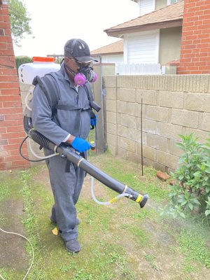Mosquito control - Exterior spraying for mosquito control. Controls both adults mosquito and larvae. Mosquito control - Exterior spraying for mosquito control. Controls both adults mosquito and larvae.