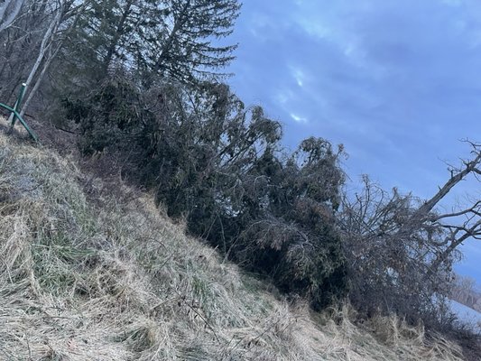 Storm cleanup - This was from the microburst along the Hudson River
