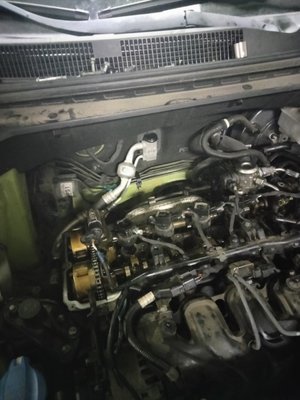 2016 Kia soul timing chain replacement - Kia soul getting new timing chain and timing tentioner 2016 Kia soul timing chain replacement - Kia soul getting new timing chain and timing tentioner