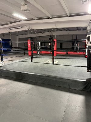 Grappling Concepts Gym Clean - Grappling Concepts Gym Clean Grappling Concepts Gym Clean - Grappling Concepts Gym Clean