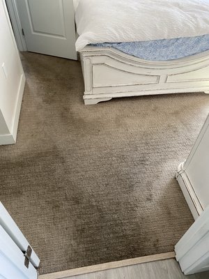 Extreme Carpet Cleaning - Before & After carpet cleaning Extreme Carpet Cleaning - Before & After carpet cleaning