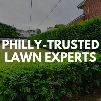 2022 | Gardening & Lawn Mowing job done in Philadelphia, PA - The result was a beautifully manicured lawn that exceeded the homeowner's expectations. 2022 | Gardening & Lawn Mowing job done in Philadelphia, PA - The result was a beautifully manicured lawn that exceeded the homeowner's expectations.