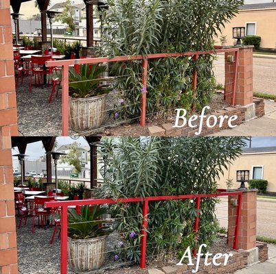 Cyclone Anaya's Tex Mex Restaurant patio rails - The manager of the restaurant suggested a change in color to liven up the patio area and that it would also improve visibility for people passing by. Cyclone Anaya's Tex Mex Restaurant patio rails - The manager of the restaurant suggested a change in color to liven up the patio area and that it would also improve visibility for people passing by.