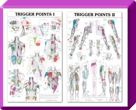 Mobile Myofascial Therapy - 🌟 Unlock Your Body’s Potential with Myofascial Therapy! 🌟
Struggling with pain, tension, or limited mobility? Our expert therapists use gentle, hands-on techniques to release tight fascia, improve circulation, and restore your body’s natural balance.
✨ Customized sessions for your unique needs
✨ Relieve chronic pain and tension
✨ Enhance overall wellness and flexibility
Don’t let discomfort hold you back—book your Myofascial Therapy session today and feel the freedom! 💆♀️💫 Mobile Myofascial Therapy - 🌟 Unlock Your Body’s Potential with Myofascial Therapy! 🌟
Struggling with pain, tension, or limited mobility? Our expert therapists use gentle, hands-on techniques to release tight fascia, improve circulation, and restore your body’s natural balance.
✨ Customized sessions for your unique needs
✨ Relieve chronic pain and tension
✨ Enhance overall wellness and flexibility
Don’t let discomfort hold you back—book your Myofascial Therapy session today and feel the freedom! 💆♀️💫