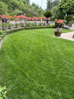 Gardening maintenance - Gardening maintenance is one of our main specialties. We take pride in our maintenance. We like too keep our lawns nice and green at all times. Keeping planters weed free. Having the property looking nice and clean. Don’t wait we’re a company you can trust and have the maintenance crew you always wanted. Give us a call or text for free estimate