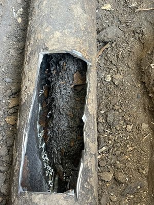 Broken sewer in Inglewood - Sewer kept clogging and another company kept coming to hydro jet, we were called in and found line broken under tree, made repair Broken sewer in Inglewood - Sewer kept clogging and another company kept coming to hydro jet, we were called in and found line broken under tree, made repair