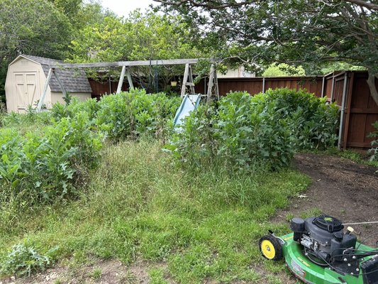 Yard Clean ups - These are Yards I service that where very overgrown that I whipped back into shape Yard Clean ups - These are Yards I service that where very overgrown that I whipped back into shape