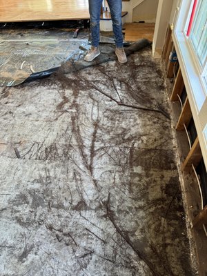 Remediation - This was a fun one 😅 - yes, if you have a micro-ecosystem growing between your waterproofing and sub-floor, we can help you there too! Remediation - This was a fun one 😅 - yes, if you have a micro-ecosystem growing between your waterproofing and sub-floor, we can help you there too!
