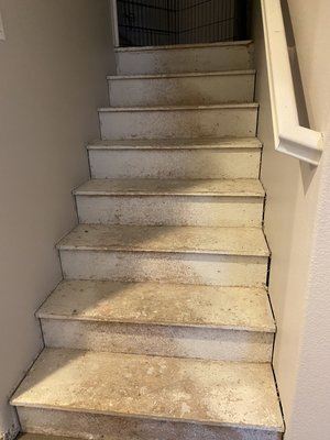 Bottom level with staircase . Luxury vinyl install 1000 feet - This bottom level remodel with staircase was done in 1 week . Including demo prep and install !! I helped customer purchase material @ wholesale price , which saved them Lots of money . Job came out amazing and client was very happy 😃 Bottom level with staircase . Luxury vinyl install 1000 feet - This bottom level remodel with staircase was done in 1 week . Including demo prep and install !! I helped customer purchase material @ wholesale price , which saved them Lots of money . Job came out amazing and client was very happy 😃