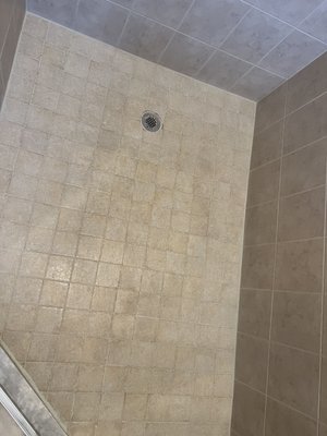 Tile and grout cleaning - This was a whole house tile and grout cleaning with sealer. We did the bath room shower floor as well. Tile and grout cleaning - This was a whole house tile and grout cleaning with sealer. We did the bath room shower floor as well.