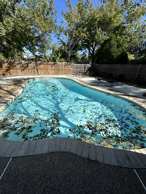 Weekly pool service - Sign up with us to get the best quality weekly pool service! refer a friend or family member and get a full month free of service. Weekly pool service - Sign up with us to get the best quality weekly pool service! refer a friend or family member and get a full month free of service.