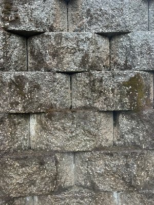 Years of Mold and Moss Removed! - Here we were called to a mossy old retaining wall that was bothering the customer! We took care of the whole wall for her and she loved it! Call today for your appointment! Years of Mold and Moss Removed! - Here we were called to a mossy old retaining wall that was bothering the customer! We took care of the whole wall for her and she loved it! Call today for your appointment!