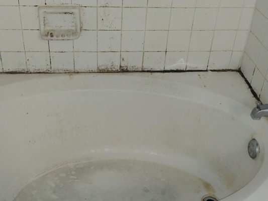 Deep clean - This was a move out deep clean that the client requested for a one - bedroom apartment. Deep clean - This was a move out deep clean that the client requested for a one - bedroom apartment.