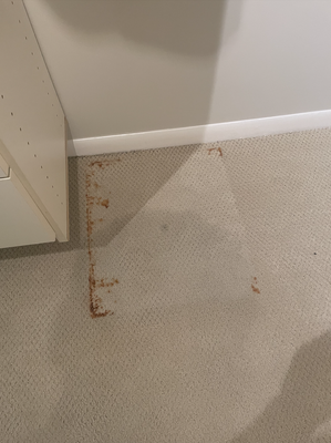Carpet Cleaning & Rust Removal - For this project we were tasked with rust removal and carpet cleaning. In the past, rust removal was nearly impossible, now thanks to our new procedure, we were able to completely remove the rust stain and successfully cleaned all carpets. Now this apartment is ready to sell! Carpet Cleaning & Rust Removal - For this project we were tasked with rust removal and carpet cleaning. In the past, rust removal was nearly impossible, now thanks to our new procedure, we were able to completely remove the rust stain and successfully cleaned all carpets. Now this apartment is ready to sell!