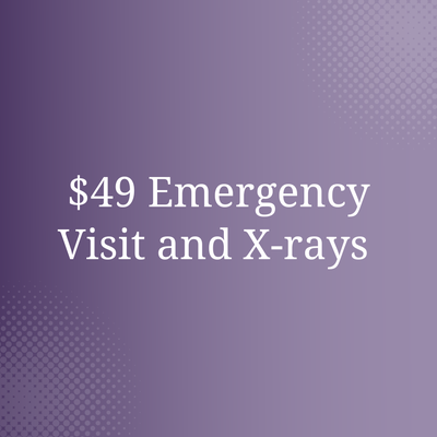 Premier Dentistry of Jupiter - Emergency Exam - We know most people usually don’t plan on having a dental emergency. With our same-day services, our front desk staff will be happy to squeeze you in and see you as soon as possible. Premier Dentistry of Jupiter - Emergency Exam - We know most people usually don’t plan on having a dental emergency. With our same-day services, our front desk staff will be happy to squeeze you in and see you as soon as possible.