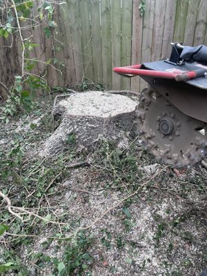 Stump grinding 2023 - Last tree sump to be removed so that customer could move forward with the home project. Stump grinding 2023 - Last tree sump to be removed so that customer could move forward with the home project.