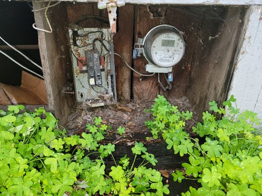 100% full rewirings - 100% full remodels, we will upgrade the old wire in the property.
Starting with new stronger breaker boxes to each of the lights, switches, receptacles.
We pull permits and finalize projects. 100% full rewirings - 100% full remodels, we will upgrade the old wire in the property.
Starting with new stronger breaker boxes to each of the lights, switches, receptacles.
We pull permits and finalize projects.