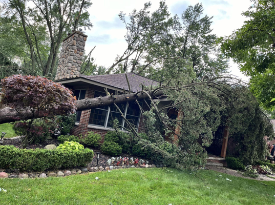Fallen Tree Removal - We have the equipment and team needed to remove your fallen tree. We will work with your insurance to get the costs covered. Fallen Tree Removal - We have the equipment and team needed to remove your fallen tree. We will work with your insurance to get the costs covered.