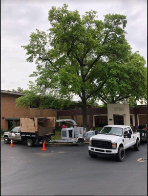 Emergency Tree Services / Tree Removal - JMendez is a small family owned business that provides affordable tree service, landscaping and gutter cleaning, and snow removal to the St Louis area. Contact now to schedule your service.