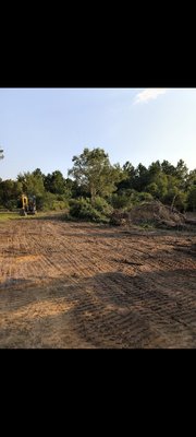 tree removal - the customer requested to cut down the tree, remove the stump and backfill the area. then I graded the area and this is before and after pictures tree removal - the customer requested to cut down the tree, remove the stump and backfill the area. then I graded the area and this is before and after pictures
