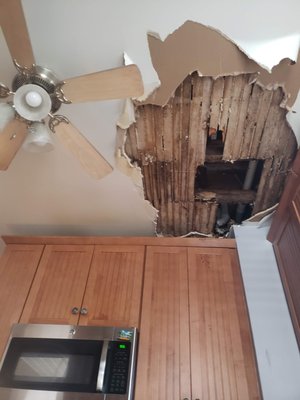 Ceiling Repairs - With our 20 years of experience in ceiling repair, we specialize in replacing damaged drywall, matching ceiling textures, and delivering seamless paint finishes. We take great care to ensure the repair blends perfectly with the existing surface, leaving your ceiling looking as good as new.