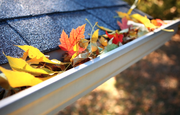 Don’t let dirty gutters make you look bad! - A well-cleaned gutter is a happy gutter!Clean gutters save you money Don’t let dirty gutters make you look bad! - A well-cleaned gutter is a happy gutter!Clean gutters save you money