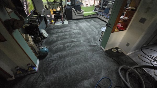 Allergen removal - Lead He had allergy problems. So she wanted fully extraction of everything in her carpet. Allergen removal - Lead He had allergy problems. So she wanted fully extraction of everything in her carpet.