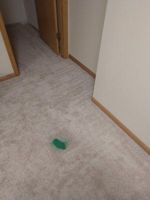 Carpet Repair (from paint stain) - Call us today ! Carpet Repair (from paint stain) - Call us today !