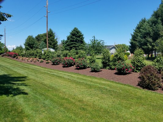 Planting any size project! - From 120' to 25' we have you covered for planting design and install. Planting any size project! - From 120' to 25' we have you covered for planting design and install.