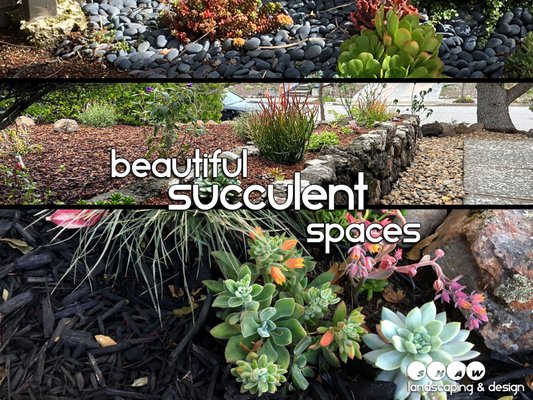 Beautiful Succulent Spaces - I really enjoy all the all the unique shapes, textures, flowers, and colors that succulents embody and I try to design, implement and tuck them into most of landscape creations. They're so versatile, hearty, extremely drought tolerant and beautiful. Beautiful Succulent Spaces - I really enjoy all the all the unique shapes, textures, flowers, and colors that succulents embody and I try to design, implement and tuck them into most of landscape creations. They're so versatile, hearty, extremely drought tolerant and beautiful.