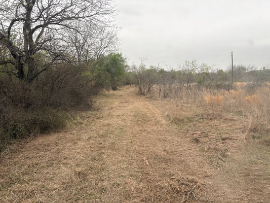 Easement clearing - Customer needed a 50’ easement cleared