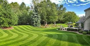 Lawn maintenance -  landscaping Lawn maintenance -  landscaping