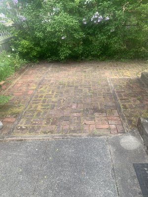 Brick patio pressure washing - Overgrown mold on outdoor brick patio. we were able to clean this surface no problems at all. when we finally finished up the customer came out and looked, they were very pleased with what they saw. We can make your surfaces that you need cleaned to reveal the beautiful surface underneath. Brick patio pressure washing - Overgrown mold on outdoor brick patio. we were able to clean this surface no problems at all. when we finally finished up the customer came out and looked, they were very pleased with what they saw. We can make your surfaces that you need cleaned to reveal the beautiful surface underneath.
