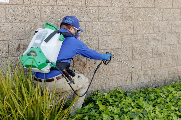 Commercial Pest Service - We service multi units complex, storage facilities, warehouses, business building, senior living, schools, government settings and much more! We are one call away! We provide a free ESTIMATE!