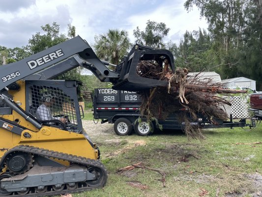 Stump grinding! - Yoders Tree and Landscaping is your one stop shop for all your tree needs! From large removals to stump grinding, we can handle it all! Give us a call! Stump grinding! - Yoders Tree and Landscaping is your one stop shop for all your tree needs! From large removals to stump grinding, we can handle it all! Give us a call!