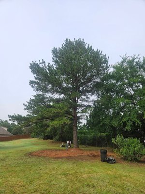 Land Clearing Services - Brian's Lawn & Tree Service is a trusted, locally owned business proudly serving Muskogee, OK, and surrounding areas. With over 25 years of hands-on experience, owner Brian is committed to providing honest, reliable, and affordable tree and lawn services. From tree removal and trimming to emergency cleanup and lot clearing, we handle each project with care and professionalism. Known for great customer service and small-town values, we're the go-to choice for dependable, high-quality outdoor services. Land Clearing Services - Brian's Lawn & Tree Service is a trusted, locally owned business proudly serving Muskogee, OK, and surrounding areas. With over 25 years of hands-on experience, owner Brian is committed to providing honest, reliable, and affordable tree and lawn services. From tree removal and trimming to emergency cleanup and lot clearing, we handle each project with care and professionalism. Known for great customer service and small-town values, we're the go-to choice for dependable, high-quality outdoor services.