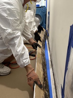 Mold Remediation - Mold Remediation