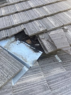 Roof Leak - This roof leak was caused by a valley being clogged up do to debris not allowing water to flow properly do too having a close valley roof tile install Roof Leak - This roof leak was caused by a valley being clogged up do to debris not allowing water to flow properly do too having a close valley roof tile install