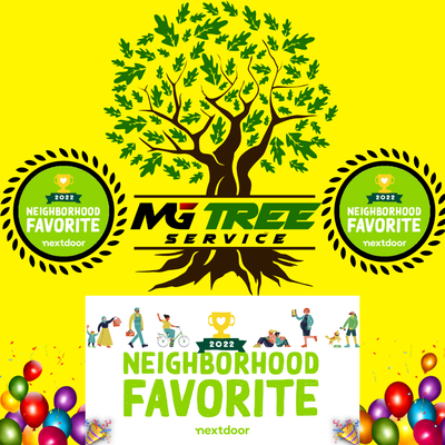 2022 Nextdoor Favorite Tree service company. - For the fourth year in a row, Mg tree service has been chosen as Next-door Favorite Tree care company. 2022 Nextdoor Favorite Tree service company. - For the fourth year in a row, Mg tree service has been chosen as Next-door Favorite Tree care company.