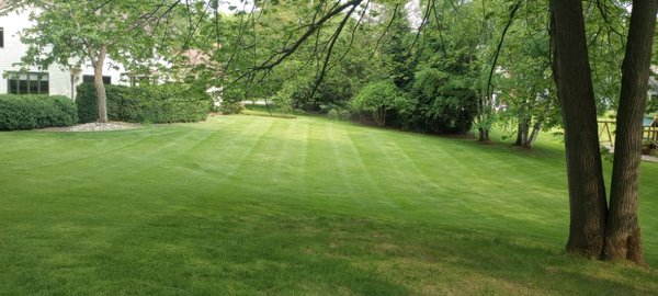 Currington lawn service - lawn was mowed customer very happy Currington lawn service - lawn was mowed customer very happy