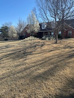 before and after - This customer had several trees that he wanted gone. Took care of them in a jiffy.